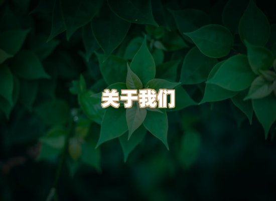 关于瑞达报备